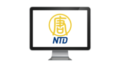 Ntd Tv