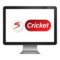 Super Sport Cricket